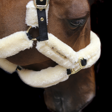 Load image into Gallery viewer, Kentucky Horsewear Sheepskin Shipping Headcollar
