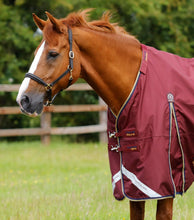Load image into Gallery viewer, Premier Equine Buster Zero Turnout Rug with Classic Neck Cover
