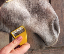 Load image into Gallery viewer, Smart Grooming Equi-Shave
