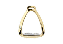 Load image into Gallery viewer, Samshield Shield&#39;Rup Stirrups
