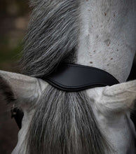 Load image into Gallery viewer, Premier Equine Hennarosa Rolled Anatomic Leather Headcollar
