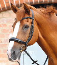 Load image into Gallery viewer, Premier Equine Lambro Anatomic Bridle with Crank Noseband
