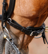 Load image into Gallery viewer, Premier Equine Lambro Anatomic Bridle with Crank Noseband
