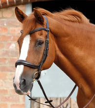 Load image into Gallery viewer, Premier Equine Lambro Anatomic Bridle with Crank Noseband

