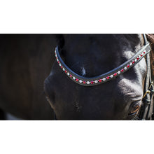 Load image into Gallery viewer, Otto Schumacher Curved Tiffany XL 8mm Browband Crystal &amp; Light Siam Red
