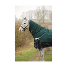 Load image into Gallery viewer, DefenceX System 100 Turnout Rug with Detachable Neck Cover
