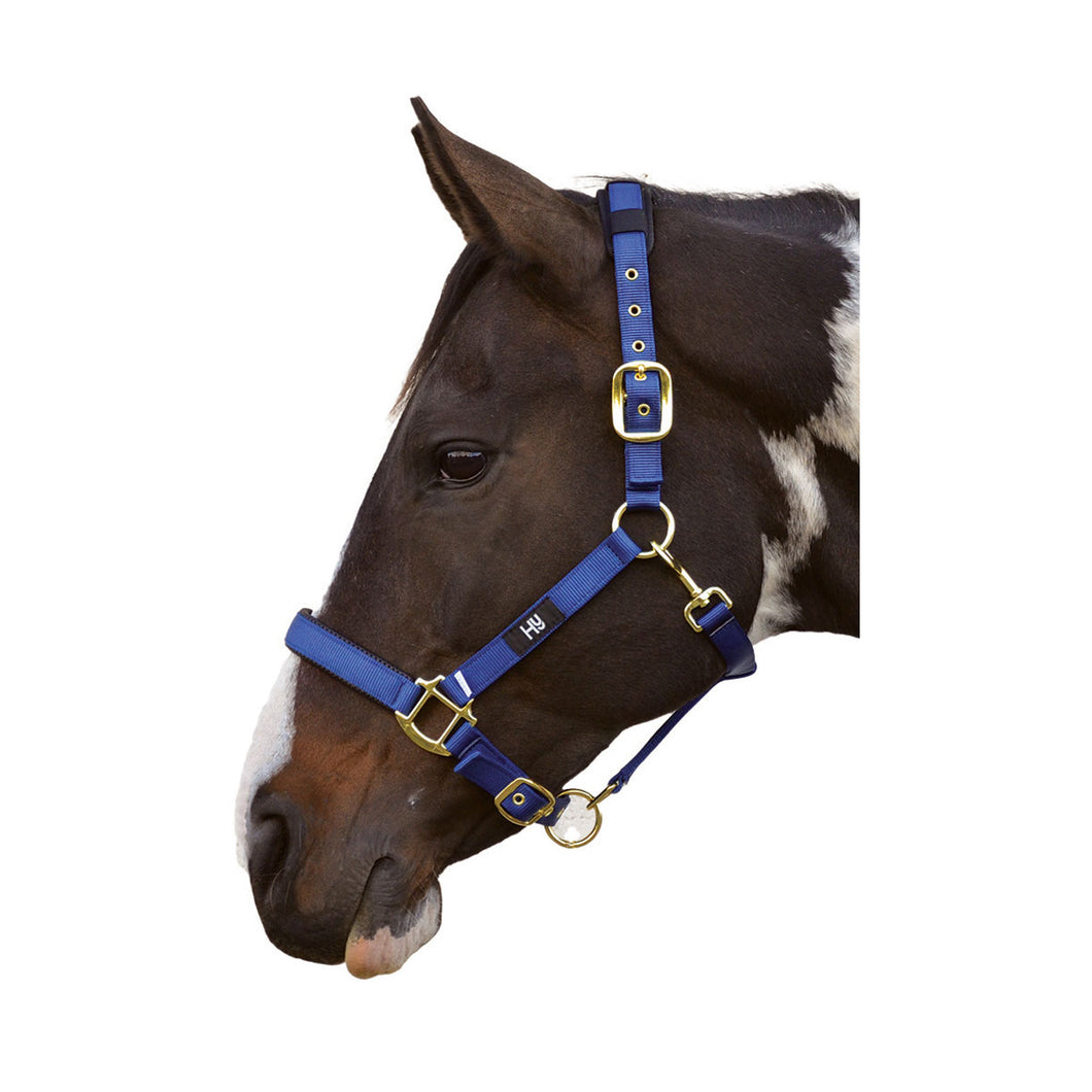 Hy Deluxe Padded Head Collar Navy