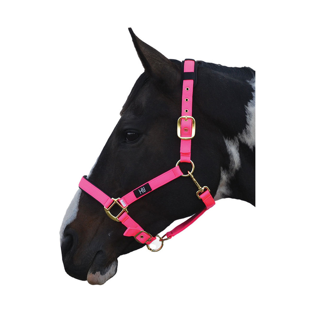 Hy Deluxe Padded Head Collar Hot Pink