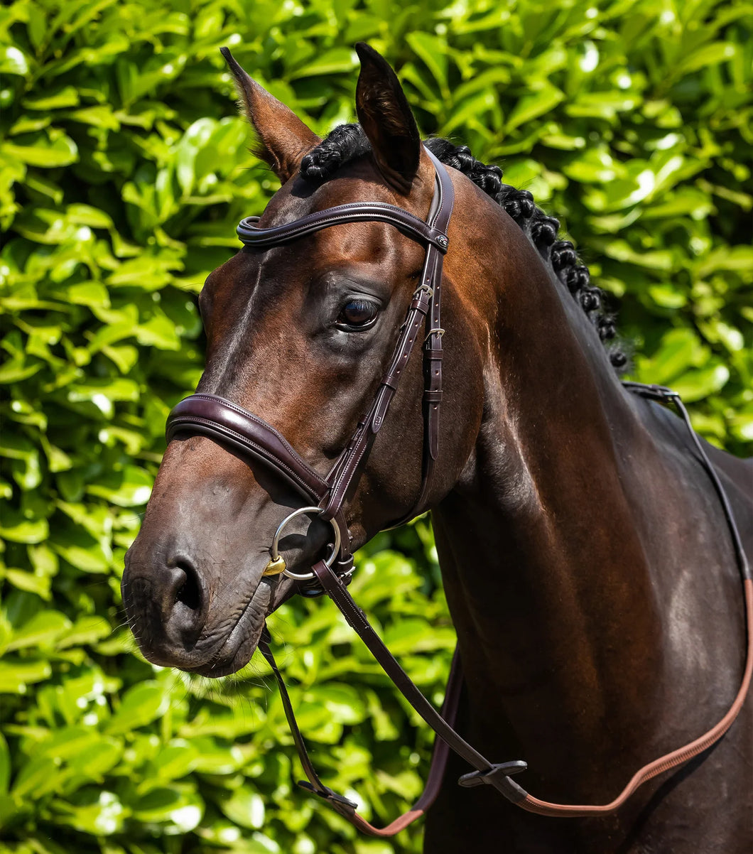Premier Equine Verdura Anatomic Snaffle Bridle
