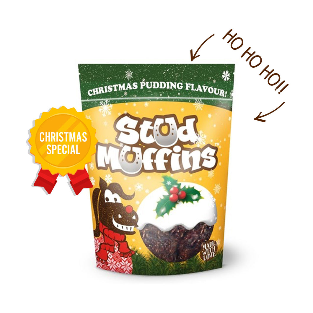 Stud Muffins Christmas Pudding 15 pack