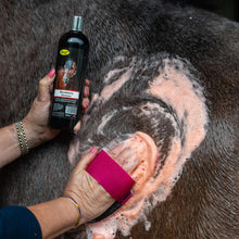 Load image into Gallery viewer, Smart Grooming Strawberry Red Shampoo 500ml
