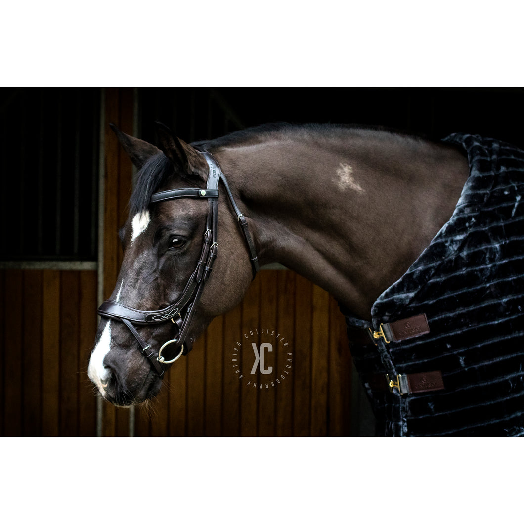 EcoRider Freedom Comfort Bridle