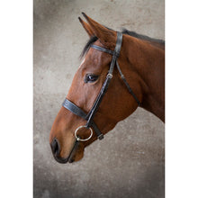 Load image into Gallery viewer, EcoRider Classic Show Hunter Bridle
