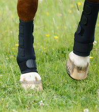 Load image into Gallery viewer, Premier Equine Turnout Boots
