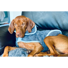 Load image into Gallery viewer, Henry Wag Dog Drying Coat
