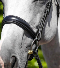 Load image into Gallery viewer, Premier Equine Verdura Anatomic Cavesson Noseband
