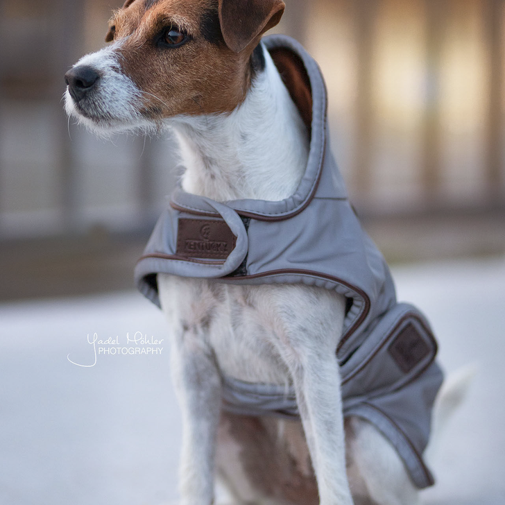 Kentucky Dogwear Reflective & Water Repellent Dog Coat
