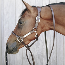 Load image into Gallery viewer, Kentucky Horsewear Leather Covered Chain Lead Brown
