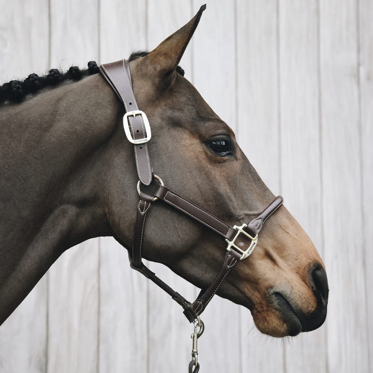 Kentucky Horsewear Anatomic Leather Halter Brown