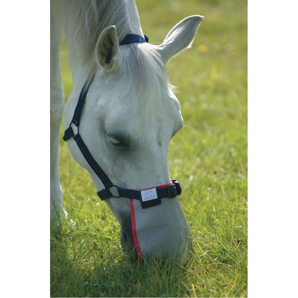 Equilibrium Field Relief Muzzle Protector Grey with Red Trim