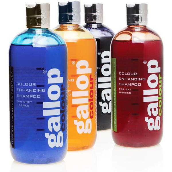 Gallop Colour Enhancing Shampoo 500ml