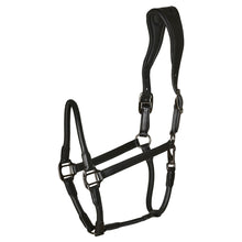 Load image into Gallery viewer, Catago Leather Headcollar
