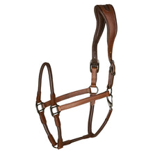 Load image into Gallery viewer, Catago Leather Headcollar
