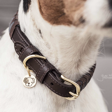 Load image into Gallery viewer, Kentucky Dogwear Dog Collar Triangle
