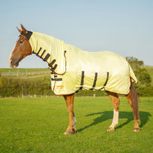 Load image into Gallery viewer, Equilibrium Field Relief Fly Rug Yellow, Black &amp; Orange
