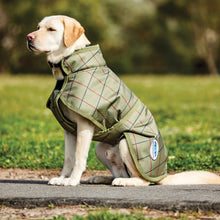 Load image into Gallery viewer, WeatherBeeta Parka 1200D Deluxe Dog Coat Olive Tweed
